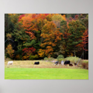Farm Fall Foliage Cows In Field Orton Art Poster