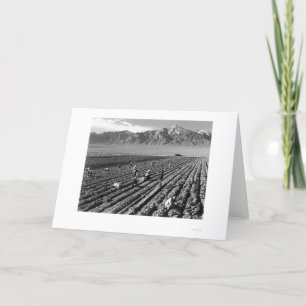 Farm, Farm Workers, Mt. Williamson 1943 Card