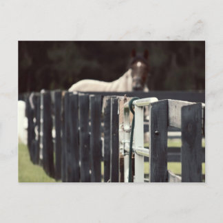 farm fence with horse behind sepia postcard