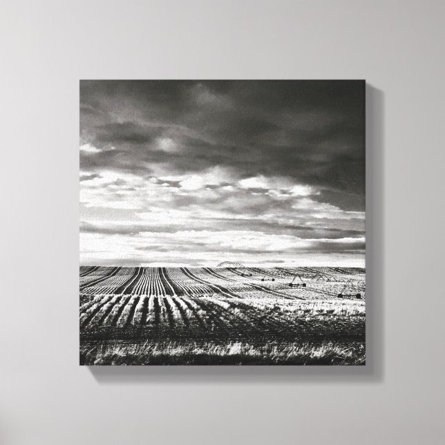 farm fields canvas print (Front)