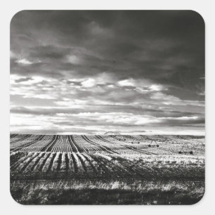 farm fields square sticker