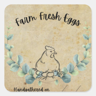 Farm Fresh Eggs square sticker