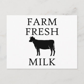 Farm Fresh Milk, Cow Postcard