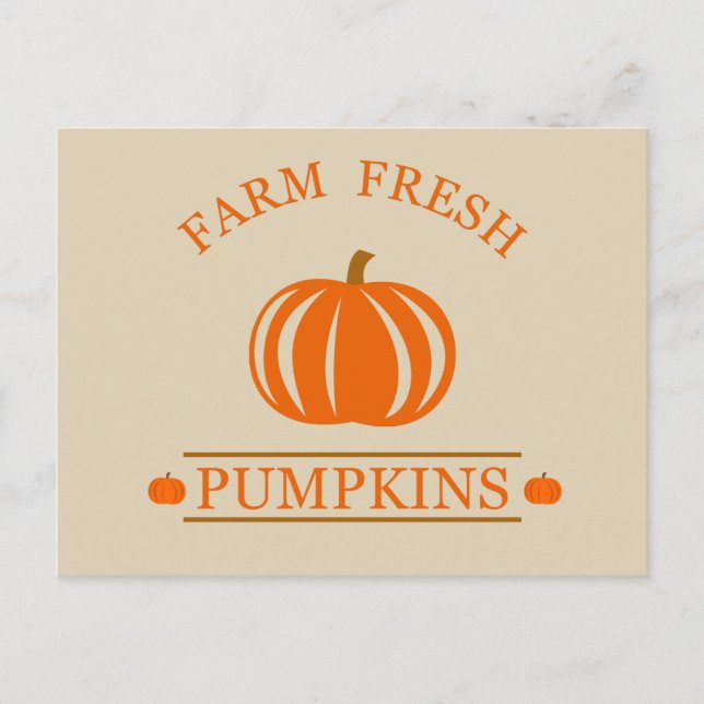 Farm fresh pumpkins holiday postcard (Front)