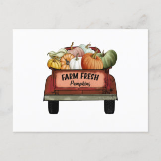 Farm Fresh Pumpkins Postcard
