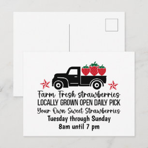 Farm fresh Strawberries fruit customisable  Postcard