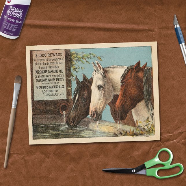 Farm Horses Drinking Water Advertisement Ephemera Tissue Paper (Creator Uploaded)