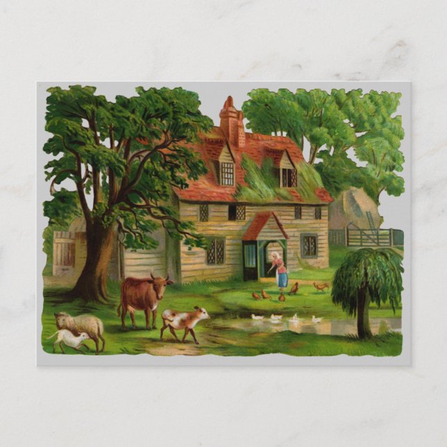 Farm House With Chickens Postcard (Front)