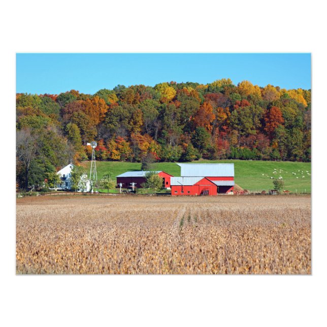 Farm in Fall Photo Print (Front)