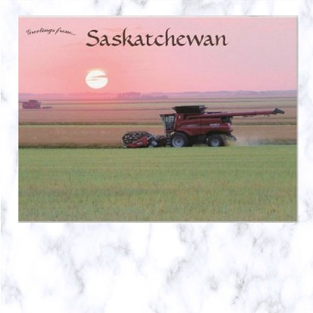 Farm in Indian Head Saskatchewan Canada Postcard (Creator Uploaded)