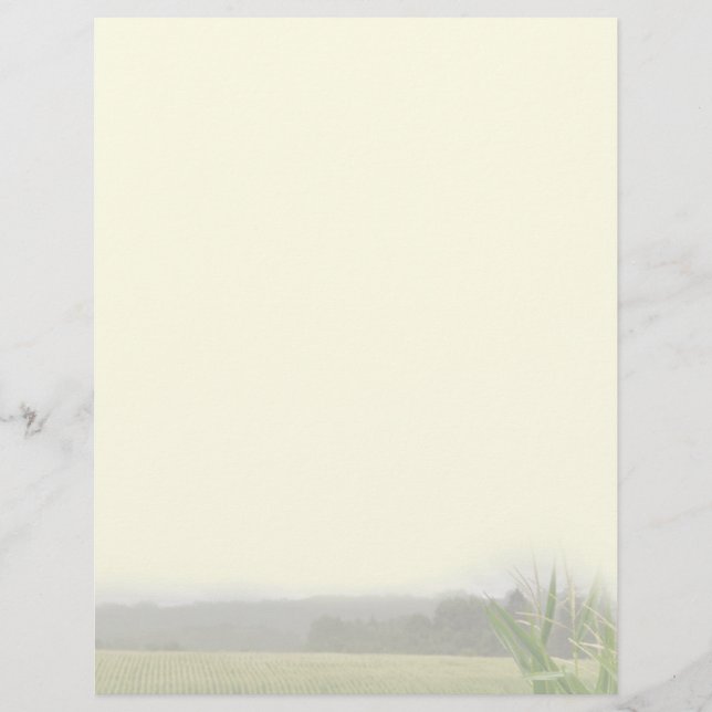 Farm landscape with maize plants blank (Front)