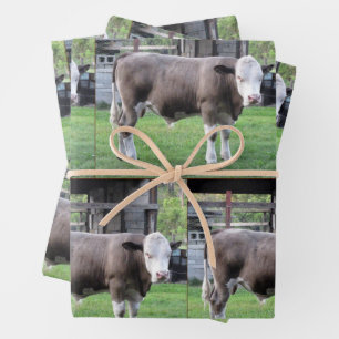 Farm Life - Bull - Wrapping Paper Sheets
