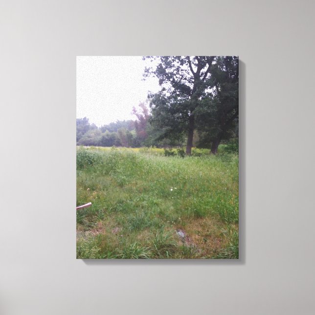 Farm life in Illinois  Canvas Print (Front)