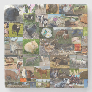 Farm Life Photo Collage,    Stone Coaster