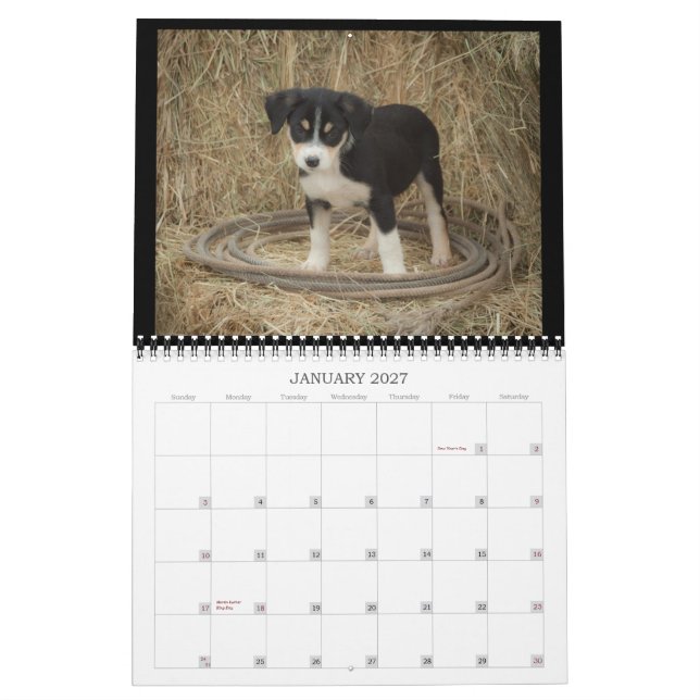 Farm Puppies Calendar (Jan 2027)