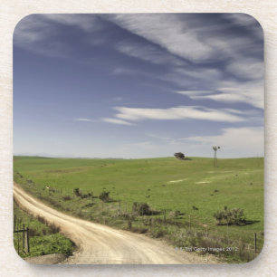 Farm road twining between wheat fields, Caledon, Coaster