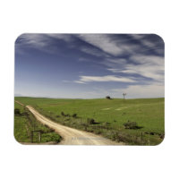 Farm road twining between wheat fields, Caledon,