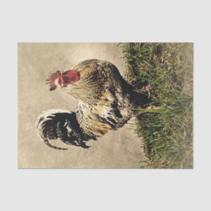 Farm Rooster Decoupage Tissue Paper