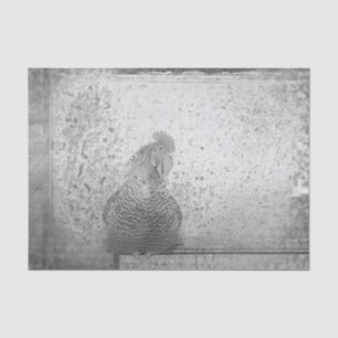 Farm Rooster Vintage Antique Black White Texture Tissue Paper