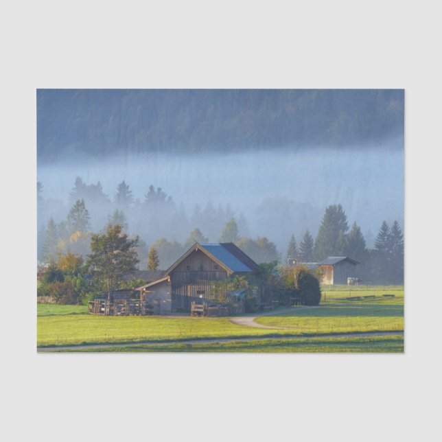Farm Scene 3 Tissue Paper (Front)