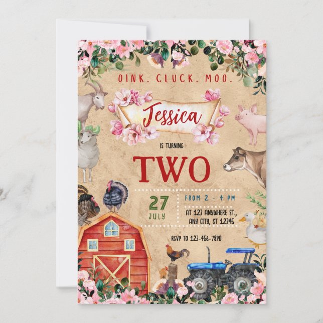 Farm Theme girl Birthday Party  Invitation (Front)