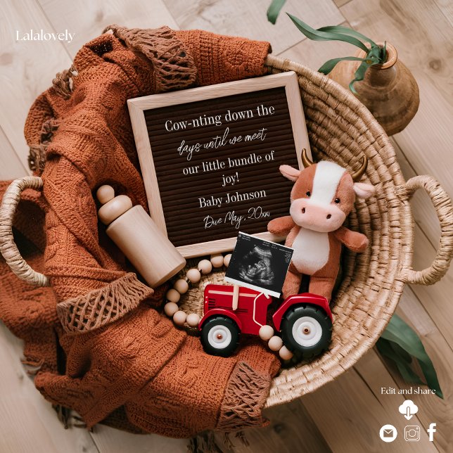farm themed  woven basket pregnancy announcement  (Creator Uploaded)