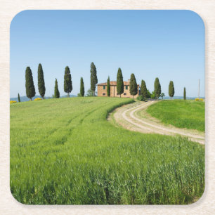 Farm villa with cypress trees in Tuscany Square Paper Coaster