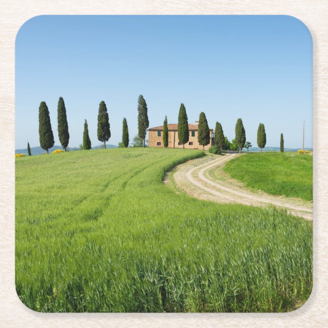 Farm villa with cypress trees in Tuscany Square Paper Coaster (Front)