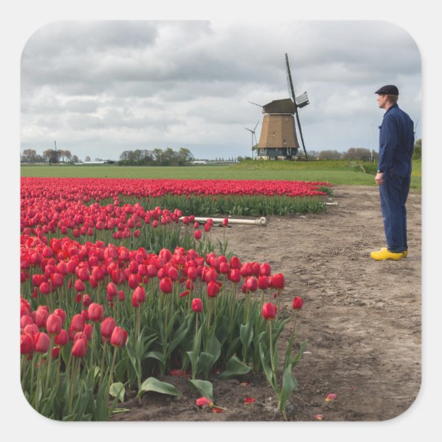 Farmer inspecting his tulips and windmill square sticker (Front)