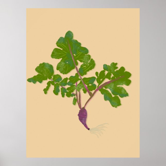 Farmer Radish Turnips Plants Gardening   Poster (Front)