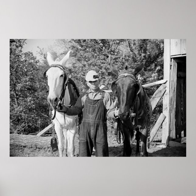 Farmer with Plough Horses, 1930s Poster (Front)