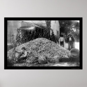 Farmers and Their Pile of Corn 1910 Poster