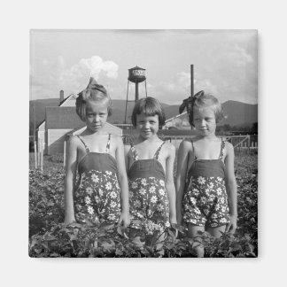 Farmer's Daughters, 1939 Magnet