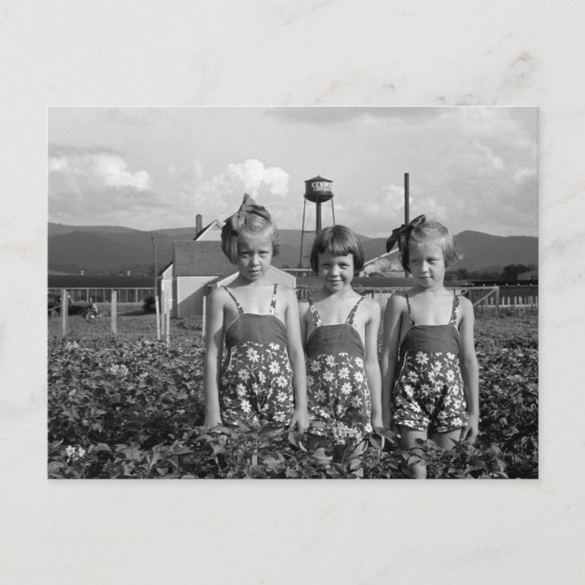 Farmer's Daughters, 1939 Postcard (Front)