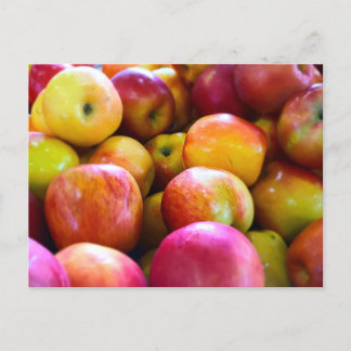 Farmer's Market Apples Postcard