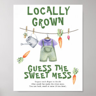 farmers market baby shower - sweet mess poster