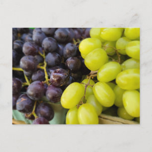 Farmer's Market Grapes Postcard