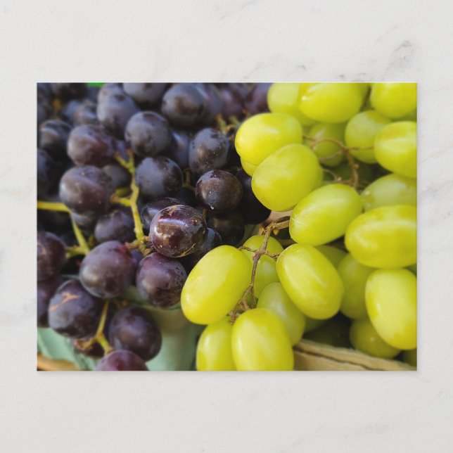 Farmer's Market Grapes Postcard (Front)