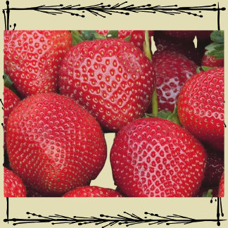 Farmers Market Strawberries Postcard