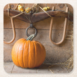 Farmers Museum. Pumpkin in barn with bale of hay Square Paper Coaster