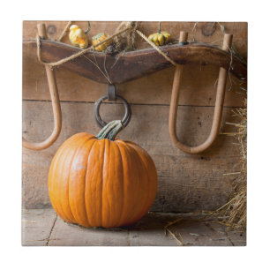 Farmers Museum. Pumpkin in barn with bale of hay Tile