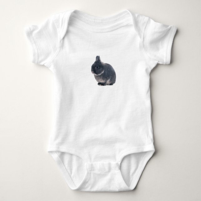 Farmhouse Bunny  Baby Bodysuit (Front)