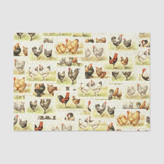 Farmhouse Chicken Tissue- Decoupage or Wrap Tissue Paper (Front)