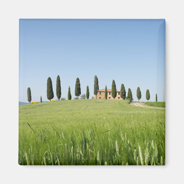 Farmhouse in Tuscany with cypresses magnet (Front)