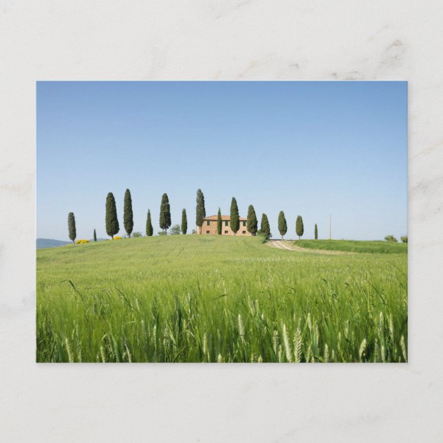 Farmhouse in Tuscany with cypresses postcard (Front)