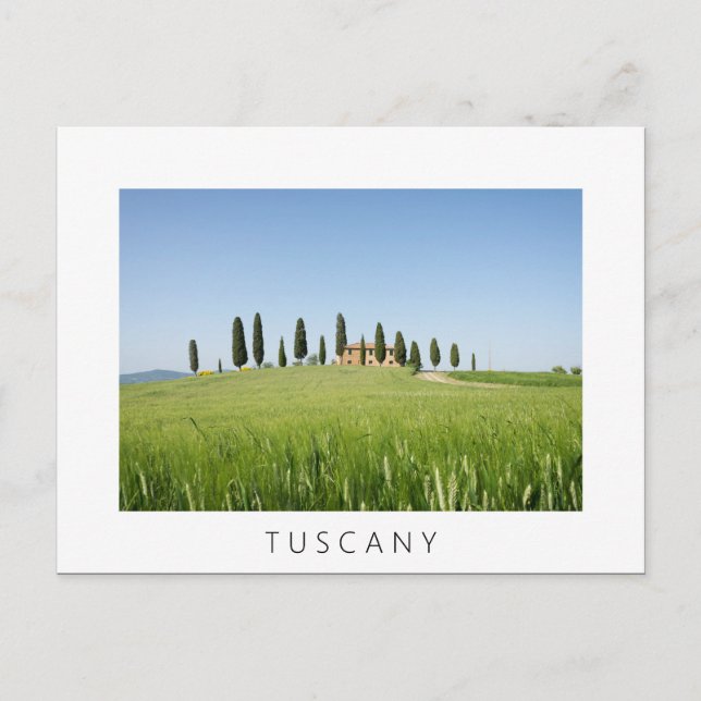 Farmhouse in Tuscany with cypresses white postcard (Front)