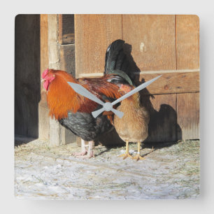 Farmhouse Rooster Rustic Chicken  Square Wall Clock