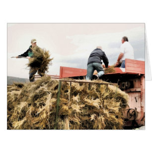 FARMING GREETINGS CARDS