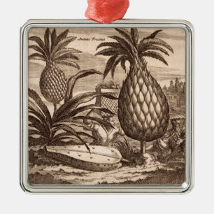 Farming Large Pineapples, illustration from a desc Metal Tree Decoration