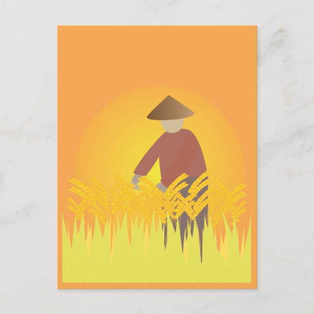 Farming Rice Postcard (Front)